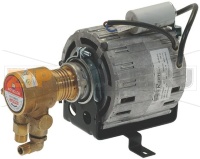 MOTORE COMPLETO DI POMPANTE 230V