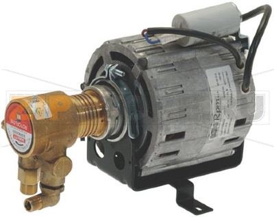 MOTORE COMPLETO DI POMPANTE 230V 