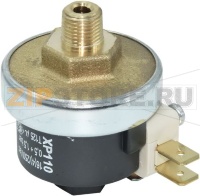 PRESSURE SWITCH XP110