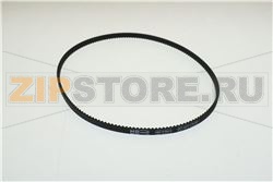 CINGHIA DENT.1794 483-3M-6 