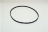 CINGHIA DENT.1794 483-3M-6