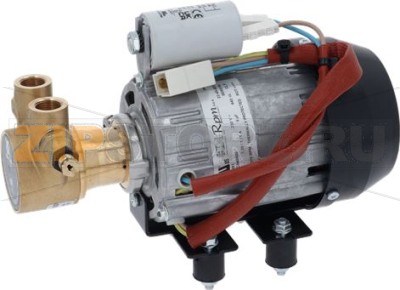 Pump 230V 1/2Gr 