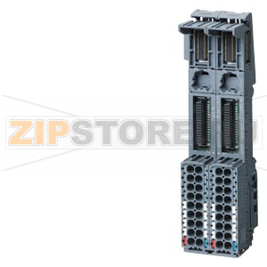 SIMATIC ET 200SP, двухместный базовый блок 2BU15-P62+A0+2B, 1 шт. в упаковке, втычные клеммы, без дополнительных клемм, подключение к существующей нагрузочной группе (базовому блоку слева), ШxВ: 30 мм x 117 мм Siemens 6ES7193-6BP60-0BA0 