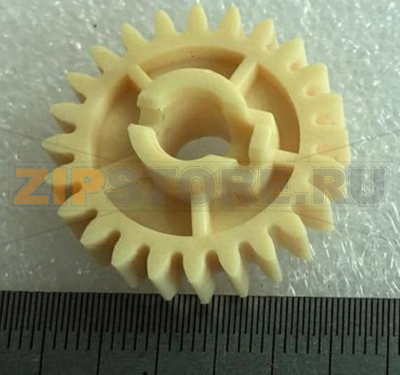 Gear 24 tooth Wincor Nixdorf Cineo 