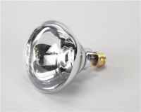 BULB CLEAR LENS-250W