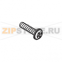 Screw K 35x12 WN 1423 galvanized Saeco Talea Giro