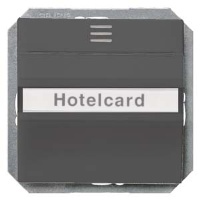 DELTA  I-SYSTEM ЧЕРНЫЙ МЕТАЛЛИК  ПЕРЕКЛЮЧАТЕЛЬ ДЛЯ ОТЕЛЬНЫХ КАРТ 1CO С ПОДСВЕТКОЙ Siemens 5TG4822