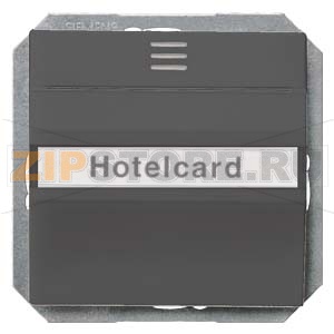 DELTA  I-SYSTEM ЧЕРНЫЙ МЕТАЛЛИК  ПЕРЕКЛЮЧАТЕЛЬ ДЛЯ ОТЕЛЬНЫХ КАРТ 1CO С ПОДСВЕТКОЙ Siemens 5TG4822 