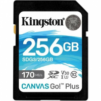 Карта памяти 256 Гб, class U3 V30 Kingston SDG3-256GB