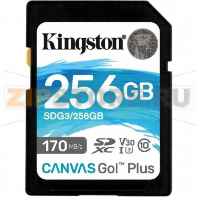 Карта памяти 256 Гб, class U3 V30 Kingston SDG3-256GB 