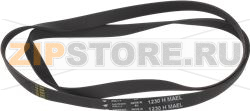 BELT HUTCHINSON 1230 H8 EL 