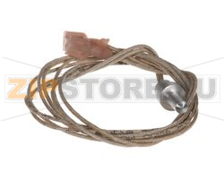 RTD PROBE 2000 OHM 