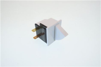 MICRORUPTEUR