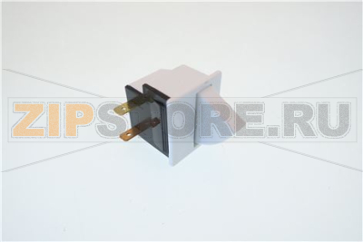 MICRORUPTEUR 