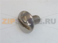 VITE A TESTA BOMBATA LARGA