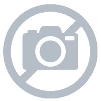 GEAR FOR PLANETARY MACHINE