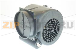 MOTEUR HOTTE 