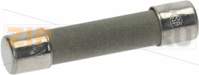 FUSE 10 AMP 