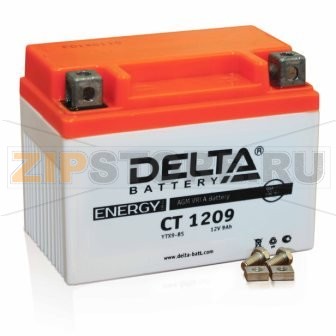 Delta CT 1209 Герметизированный, необслуживаемый аккумулятор Delta CT 1209Напряжение - 12В; Емкость - 9Ач;Габариты: 150х86х108, Вес: 3 кгТехнология аккумулятора: AGM VRLA Battery