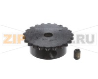 PIGNONE, 25B22, FORO DA 5/16