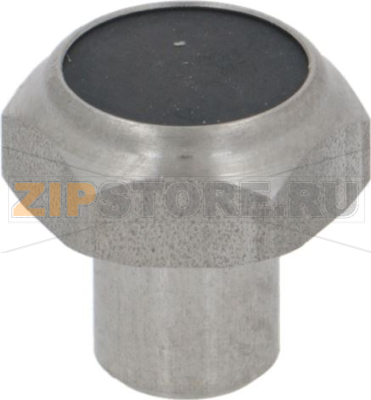 Nut And Steam Cock Gasket 