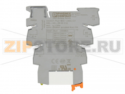 Базовые клеммные модули PLC 6 Phoenix Contact PLC-BSC- 24DC/21 2 мм с винтовыми зажимами, входное напряжение 24 В пост. тока (без реле и оптопар в комплекте).Минимальный заказ: 10 шт.Упаковка: 10 шт.