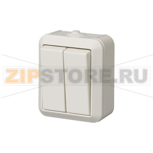 Выключатель двухклавишный 16 А, 230 В, IP44, однополюсный, белый ABB 2TKA000165G1 