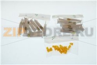 LIGHT PILOT KIT (20 x IND30002)
