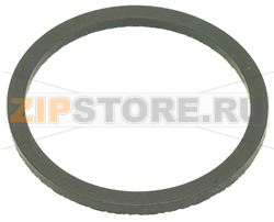 PLUG GASKET 