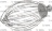 WIRE WHIP D