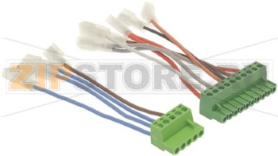 ADATTATORE PER CENTRALINA TIPO NUOVO 