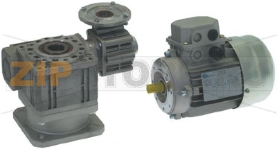 GEAR MOTOR COMPLETE 12T 60/40SC 