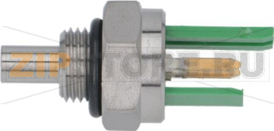 ЗОНД ТЕМПЕРАТУРЫ 1/8&quot; КОЛБА Ø 5X8 ММ 