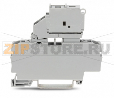 2-conductor fuse terminal block; with pivoting fuse holder; and end plate; for 5 x 20 mm miniature metric fuse; without blown fuse indication; for DIN-rail 35 x 15 and 35 x 7.5; 2.5 mm; Push-in CAGE CLAMP®; 2,50 mm; gray Wago 2002-1611 