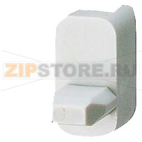 УПАКОВКА 100 СОЕДИНИТЕЛЬНЫХ КЛЮЧЕЙ FOR CONNECTING ADAPTERS WITH DEVICE HOLDERS WITH RACKS Siemens 8US1998-1BA00