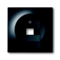 Накладка для однопостовой розетки с полем для надписи ABB 2CKA001753A0162