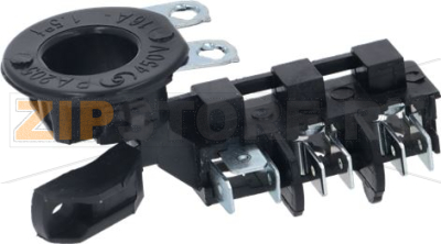 Clamp + Screw 