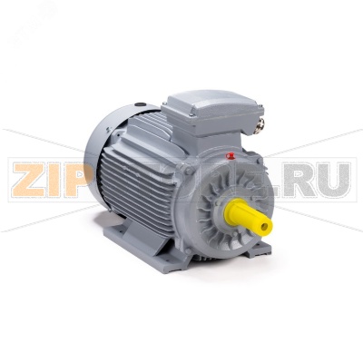 Электродвигатель 18.5 кВт, 380/660 В, 3000 об/мин, IP55 ESQ 01.05.02.000021 