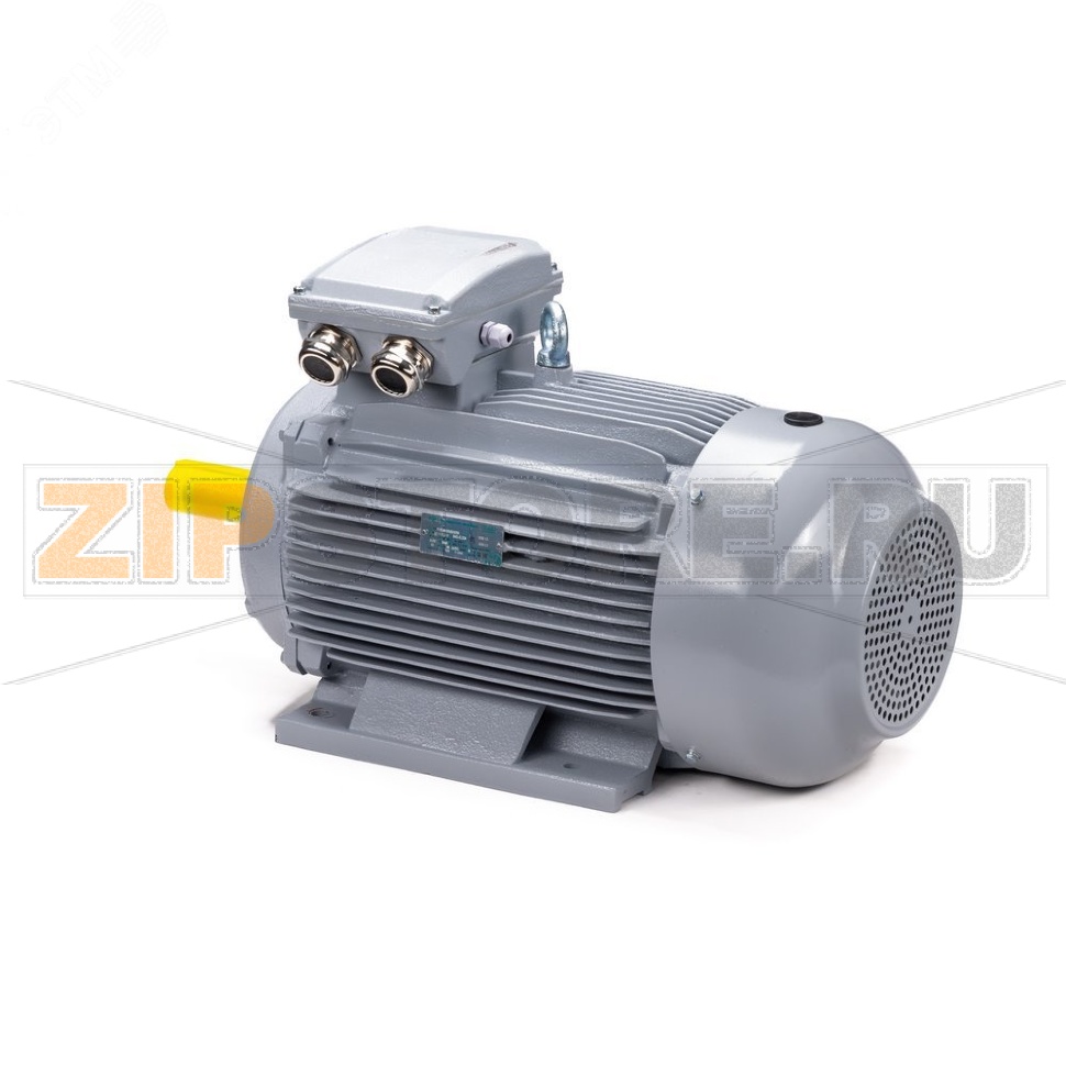 Электродвигатель 18.5 кВт, 380/660 В, 3000 об/мин, IP55 ESQ 01.05.02.000021 