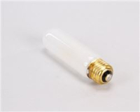 LAMP, 25T10 TUFF-SKIN 120V