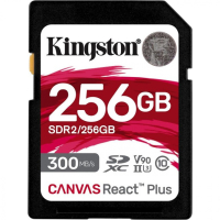 Карта памяти 256 Гб Kingston SDR-256GB