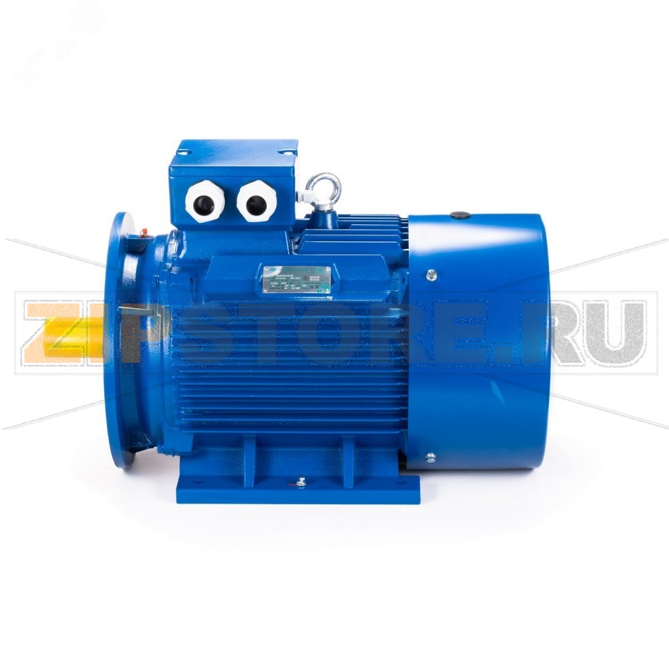 Электродвигатель 22 кВт, 380/660 В, 1500 об/мин, IP55 ESQ 01.05.221622 