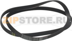 BELT HUTCHINSON 1230 J5 