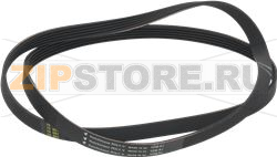 BELT HUTCHINSON 1230 J5 