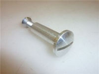 VITE ø 8x25 mm CON FORO E VITE M5