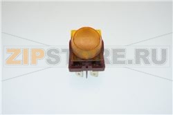 INTERRUPTEUR DK 18CXH000004 