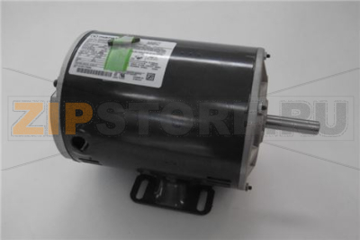 MOTORE TRIFASE 1Hp 
