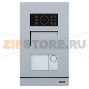 Видеопанель вызывная, уличная, 1 кнопка ABB 2TMA070010A0016 
