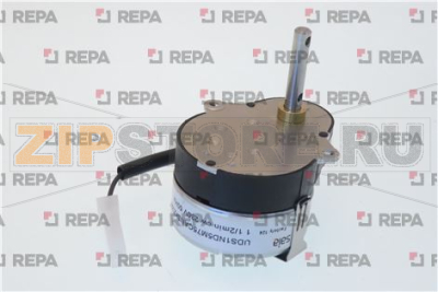 MOTORE SAIA UDS1UD5M75CAN3KZ286 S/SPINA 