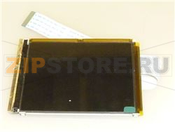 BASETTA ELETTRONICA DISPLAY GRAFICO 